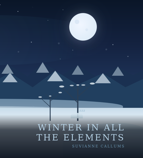 Winter in All the Elements